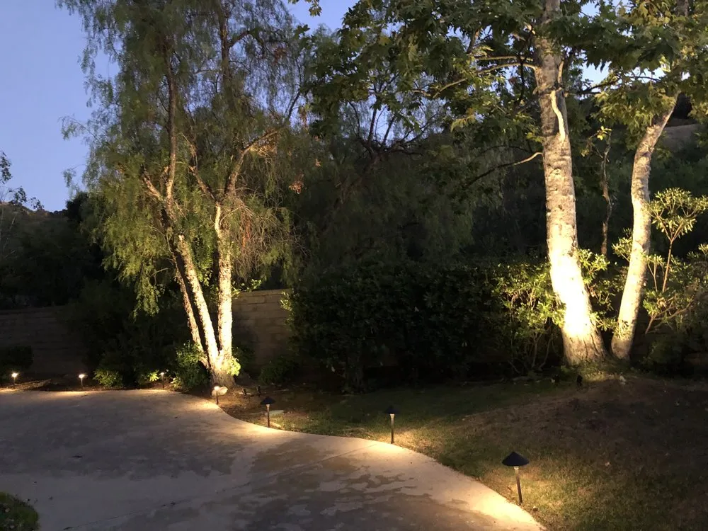 Estate driveway at dusk with uplit trees and warm pathway lighting designed by Candlelight Designs, Inc.